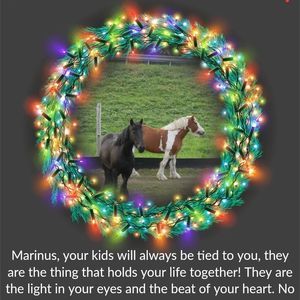 Meet your Posher, Marinus